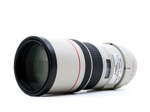 Canon EF 300mm f/4 L USM