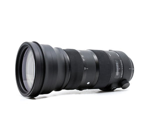 Sigma 150-600mm f/5-6.3 DG OS HSM SPORT - Compatibile con Nikon