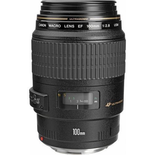 Obiektywy EF 100mm f/2.8 | Profesjonalna Jakość · zdjęcie główne