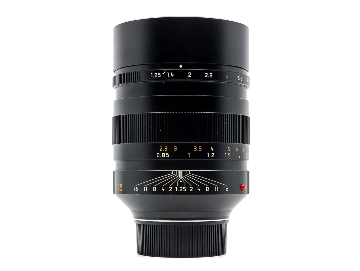 Leica 75mm f/1.25 Noctilux-M ASPH [11676] · zdjęcie główne