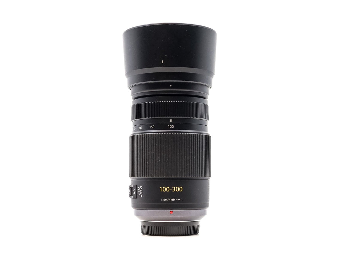 Panasonic Lumix G Vario 100-300mm f/4-5.6 Mega O.I.S. · zdjęcie główne