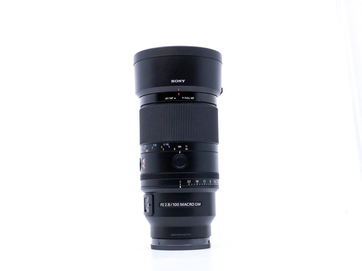 Sony FE 100mm f/2.8 Macro GM OSS · zdjęcie główne