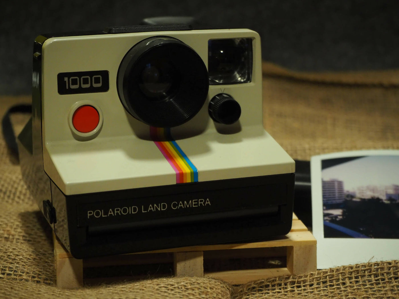 Polaroid Land Camera 1000 · zdjęcie główne