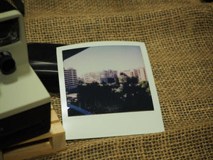 Polaroid Land Camera 1000